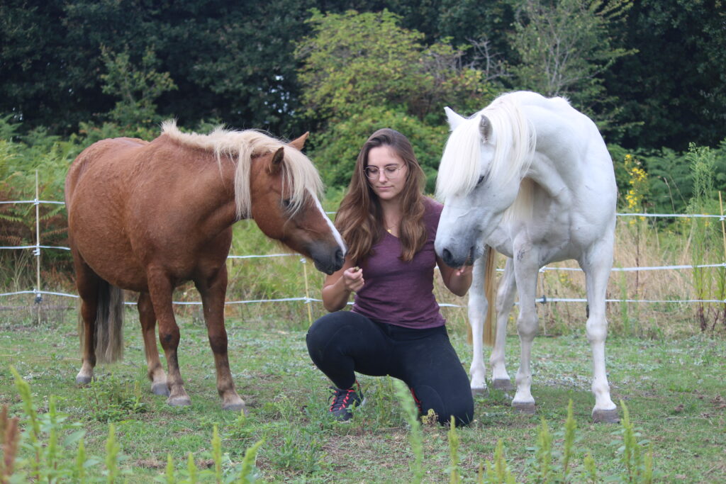 louise chevaux comportementaliste